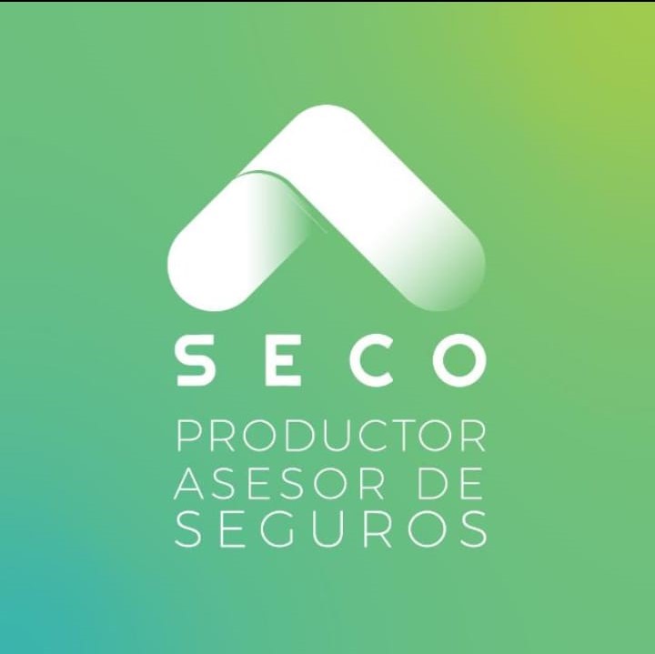 imagen seguros.jpg